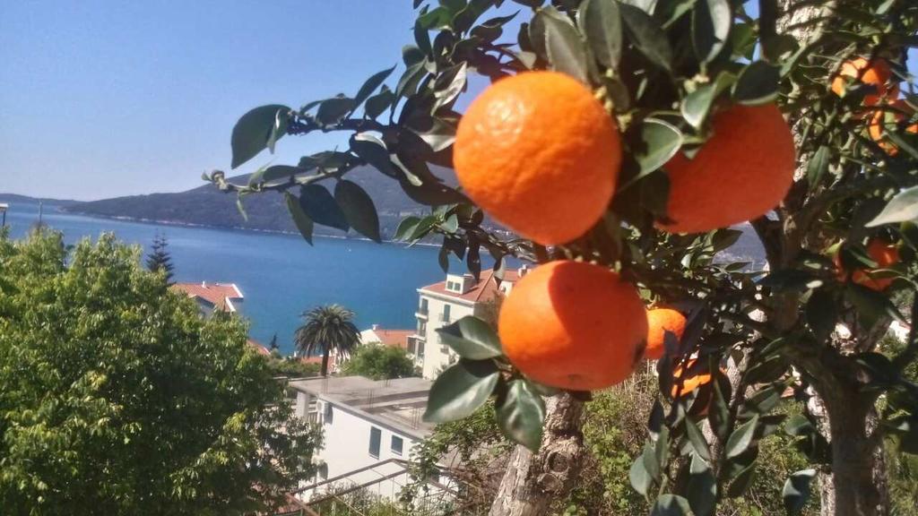 House Orange Apartments Herceg Novi Exterior photo
